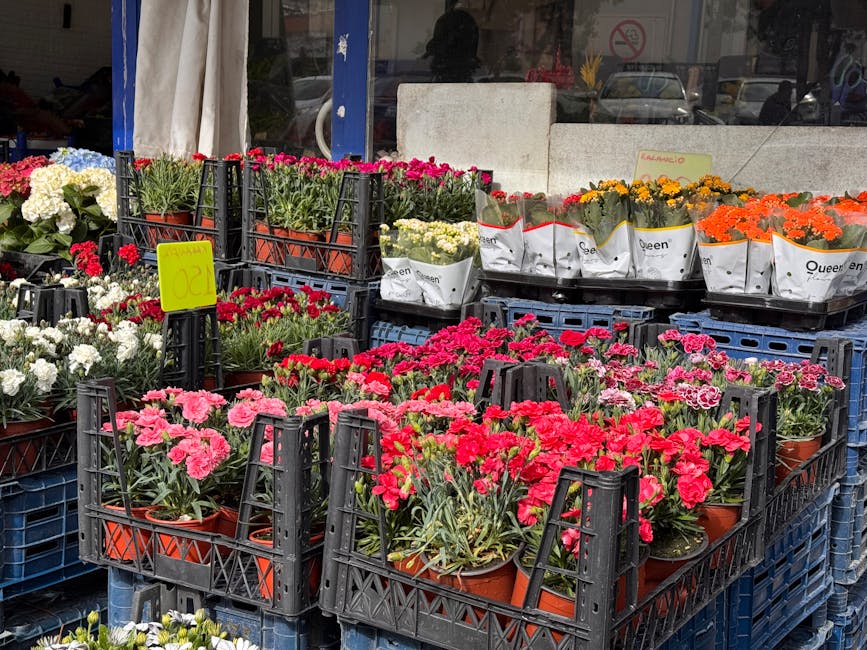 An outdoor display of vibrant flowering plants in terracotta pots, predominantly featuring pink, red, white, orange, and yellow blossoms, arranged in black plastic crates at a florist shop. The flower