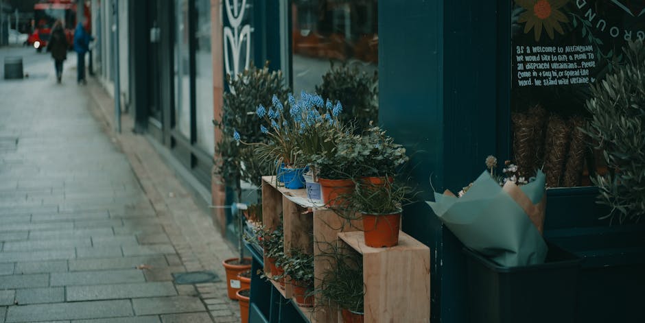 An outdoor display of potted flowering plants lined up on wooden shelves outside a flower shop, featuring blue and white blooms with lush green foliage. The plants are arranged neatly on light-colored